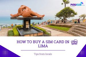 sim card in lima